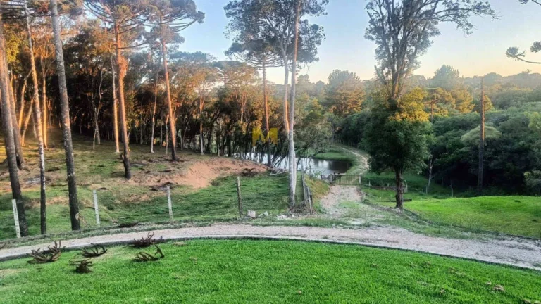 Imagem Chácara à venda no bairro Capoeira dos Dinos em Piraquara!!!