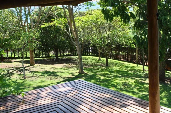 Imagem São Bento: O Charme do Eucalipto e a Praticidade do Asfalto