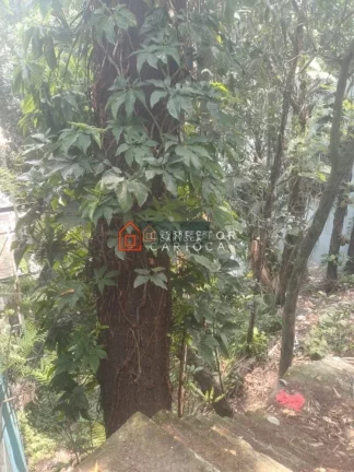 Imagem Vendo Terreno em Santa Teresa R$700.000,00