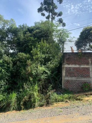 Imagem Area a venda em Rio Negrinho SC
