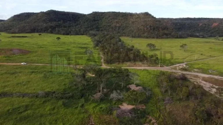Imagem Fazenda à venda em Campos Lindos-TO: 6.706 hectares de pura oportunidade de investimento!