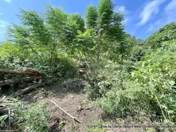 Imagem Lote Bolsão FECHADO no Miolo da Granja Viana!