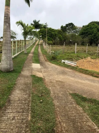 Imagem Sítio 20.000 metros - Documentação Ok 3 lagos para piscicultura