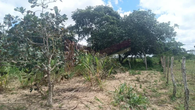 Imagem VENDO SÍTIO - 15 TAREFAS / OPORTUINIDADE IMPERDÍVEL