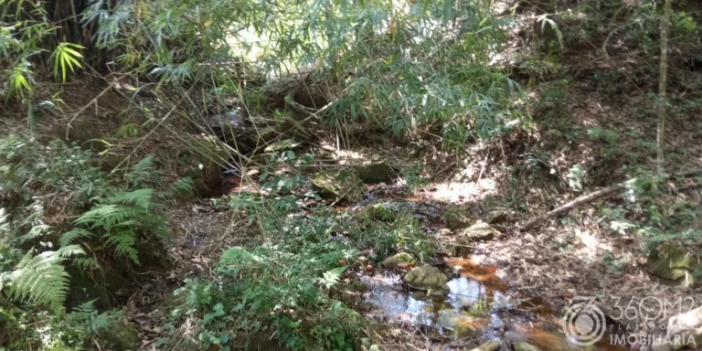Imagem Terreno para Venda em Pedra Bela / SP no bairro Acampamento anchieta