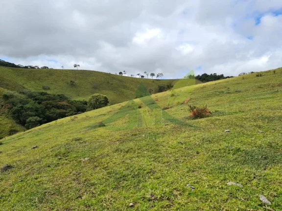 Imagem Belíssimo sítio á venda localizada na cidade de Piracaia
