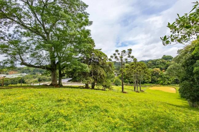 Imagem Terreno área no Cercadinho em Campo Largo 11.216m²