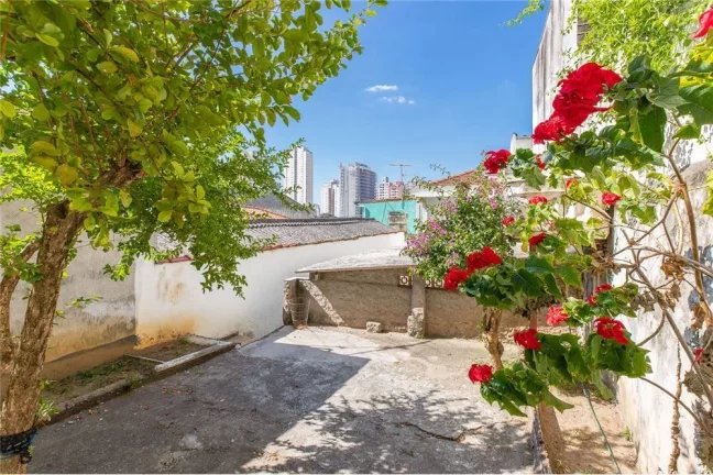 Imagem VIH 385 Casa 601251024-7