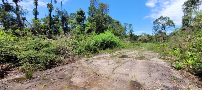 Imagem Terreno com rua aberta, 100% documentado.