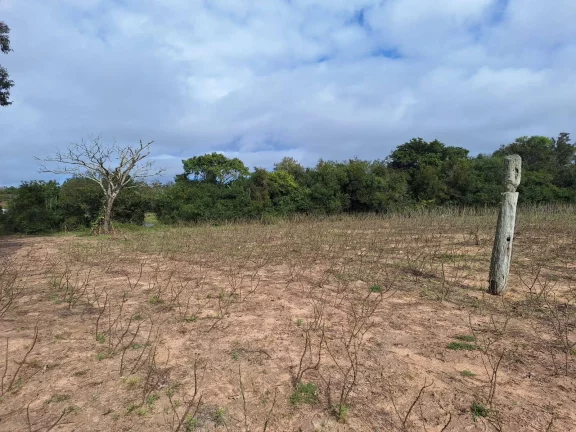 Imagem Sítio à venda, com 1 hectare, açude, no Passo da Areia - Viamão/RS