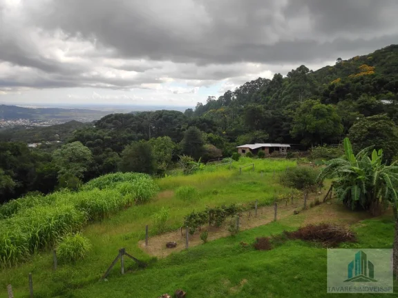 Imagem Sítio com 4 quartos, 6,3 ha, à venda em Morro Reuter - RS