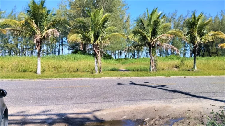 Imagem Terreno à venda na Ilha Comprida-SP
