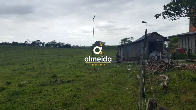 Imagem TERRENO NA BR392
