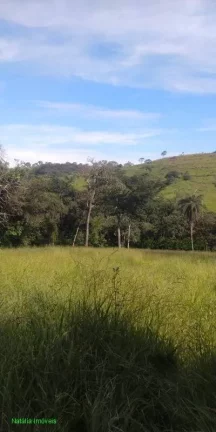 Imagem TERRENO NO BAIRRO CIDADE NOVA I , EM JUATUBA
COM ÁREA DE 4.000 M²
ÁGUA E LUZ
FÁCIL ACESSO PARA A...