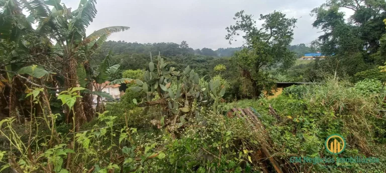 Imagem Área a venda 3600m2 para residencial, comercial ou industrial ótima localiz