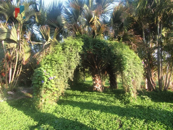 Imagem Sítio a venda em Tatuí SP