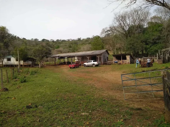 Imagem Fazenda com 2 dormitórios em Pinhal Grande - Laranjal