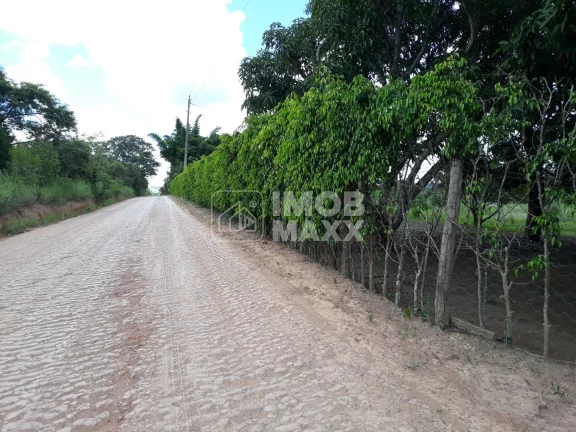 Imagem Chácara formada, excelente oportunidade, margem Rio Maranhão, pomar, em Planaltina DF.