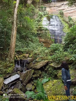 Imagem Vendo área rural em Taio sc