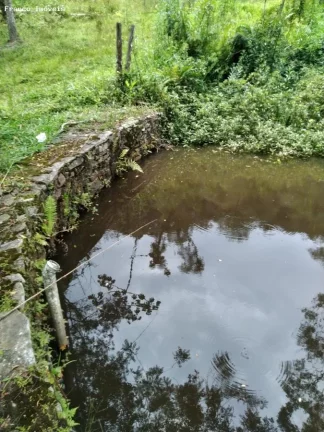 Imagem Chácara para Venda em Ribeirão Pires, Somma, 4 dormitórios, 1 banheiro, 10 vagas