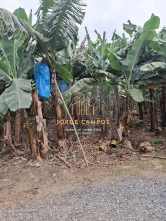 Imagem SI-25254 - SÍTIO À VENDA EM SETE BARRAS-SP