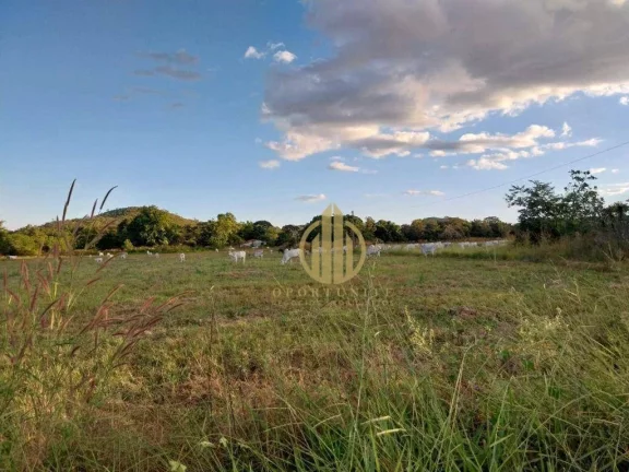 Fazenda com 3 dormitórios à venda, 5000000 m² por R$ 18.020.000,00 - Zona Rural - Niquelândia/GO