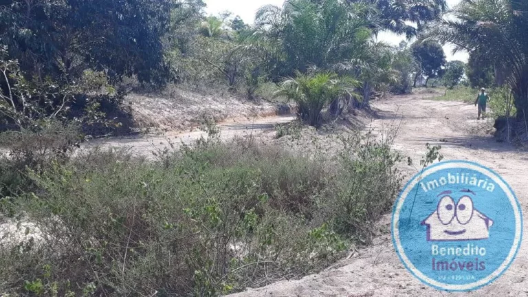 Imagem LOTES PARA VENDA TRANCOSO OPORTUNIDADE R$200.000,00