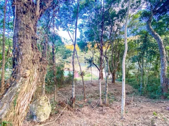 Terreno à venda, 322 m² por R$ 159.900,00 - Vargem Grande - Teresópolis/RJ