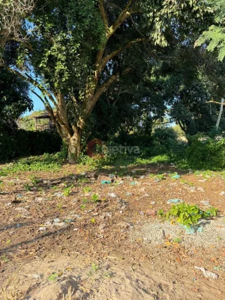 Imagem Terreno a venda, 450 m², Maria Joaquina - Cabo Frio