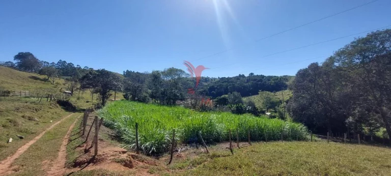 Imagem Chácara com quase 5 Alqueires, Pastagem, dois lagos, capela,no bairro Rio do Peixe