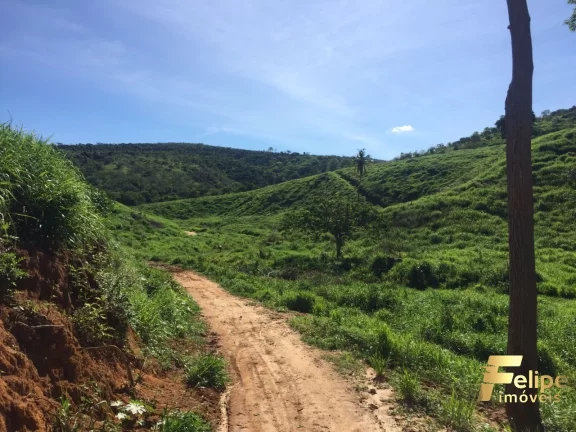 Imagem FAZENDA PRÓXIMO A COLATINA / REGIÃO NOROESTE