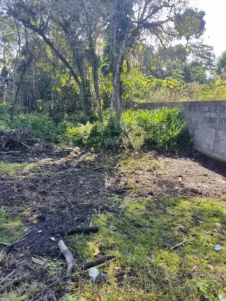 Imagem Terreno para Venda em Itanhaém, Jardim Fenix