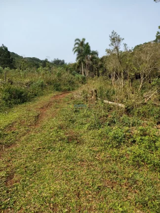Imagem Chacara, Hectares em osorio, chacara em osorio, sitio osorio