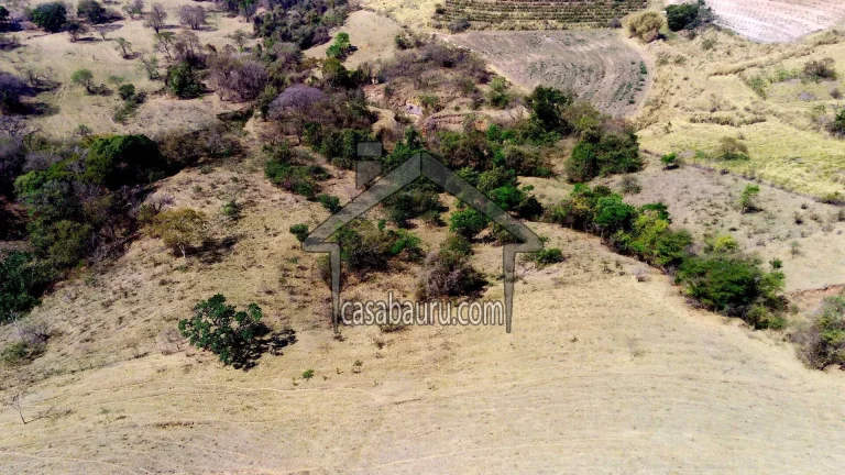 Imagem Vende Fazenda Álvaro de Carvalho - Garça