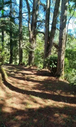 Imagem Terreno Comercial para Venda em Nova Friburgo, Mury, 1 dormitório, 1 banheiro, 3 vagas