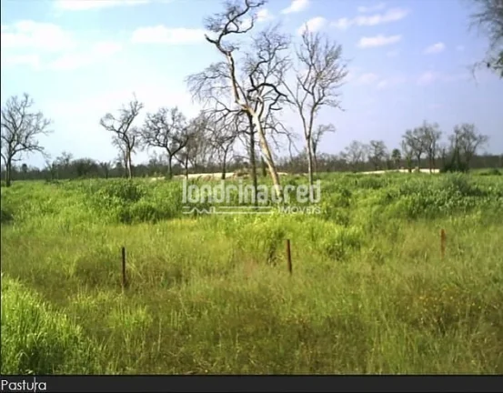 Imagem Fazenda à Venda no Paraguai por 900 dólares por hectare com Alto Potencial Pecuário