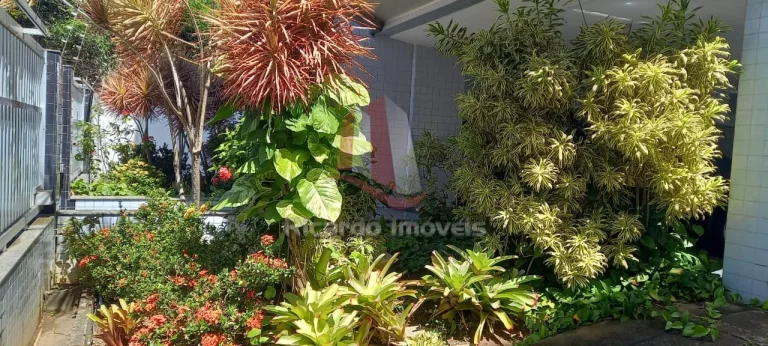 Imagem Apartamento Excelente Localização Algodoal
