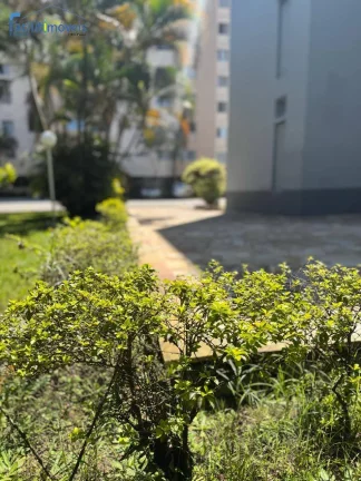 Imagem APARTAMENTO À VENDA PARQUE TERRA NOVA - SÃO BERNARDO DO CAMPO - SP