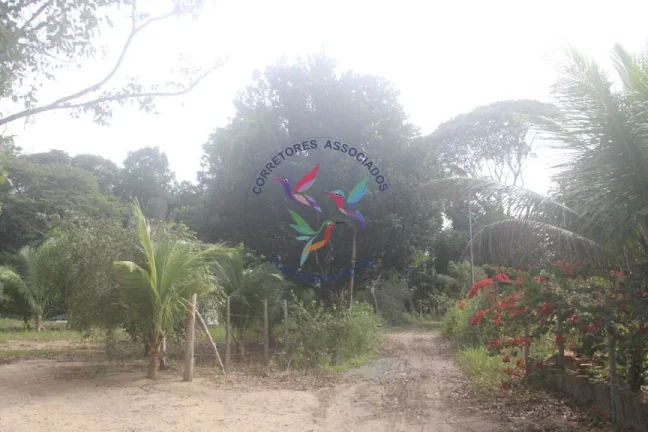 Imagem SÍTIO EM TRANCOSO - PORTO SEGURO - BAHIA