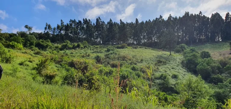 Imagem Sítio à venda em Piedade-SP, bairro Piedade, com 0,01 m² de área: oportunidade imperdível!