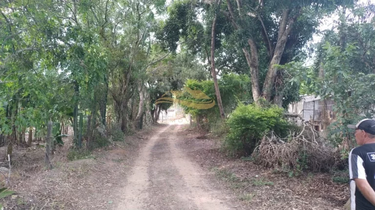 SITIO RURAL em ELIAS FAUSTO - SP, Centro