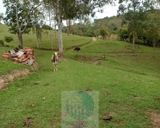 Imagem Sítio 20 ha ou 8,26 alq. a venda, para café, gado Jacui Sul de Minas Gerais