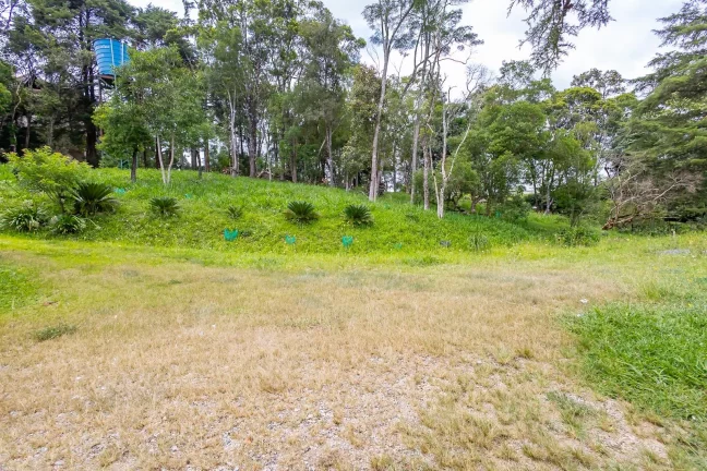 Imagem Área Botiatuva 35.076