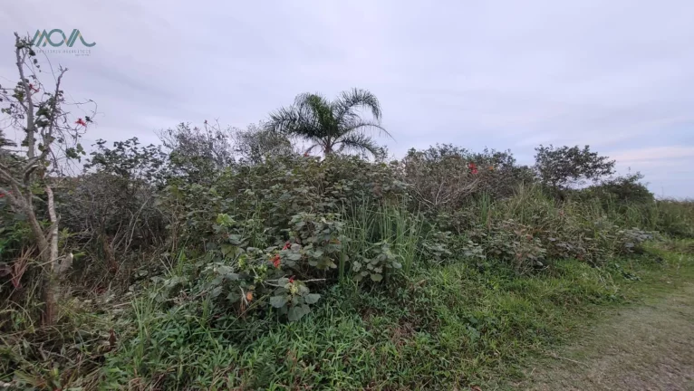 Imagem Dois Terrenos juntos - Beira mar - Com laudo ambiental permitindo construção