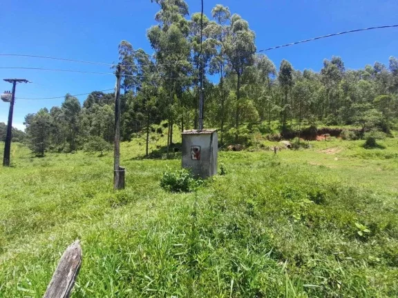 Imagem Fazenda à venda em Barbacena, Correia de Almeida, com 4 quartos, 53ha