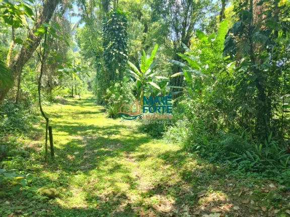Imagem AREA DE FRENTE PARA A RODOVIA OSWALDO CRUZ (6 KM DO CENTRO)