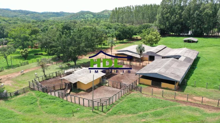 Fazenda Top de 165 Alqs em Padre Bernardo GO