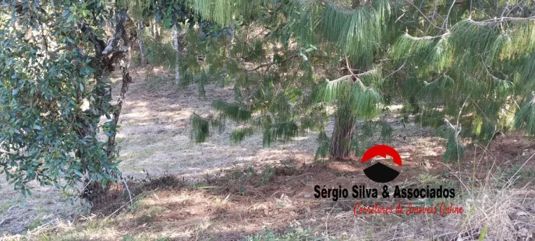 Imagem Terreno a Venda na Região do Alto da Boa Vista Campos do Jordão -SP.