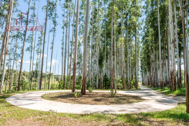 Imagem Oportunidade - Riviera de Santa Cristina XIII - Lote.