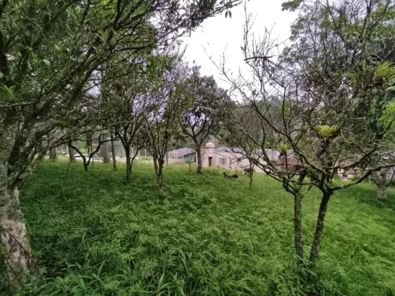 Imagem CHÁCARA RESIDENCIAL À VENDA, ESTÂNCIA PIRATININGA/PALMEIRAS, SUZANO